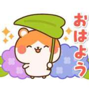 ヒメ日記 2025/12/29 07:00 投稿 かほ ご近所物語