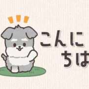 ヒメ日記 2025/12/29 11:00 投稿 かほ ご近所物語