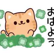 ヒメ日記 2025/12/30 07:00 投稿 かほ ご近所物語