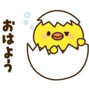 ヒメ日記 2026/01/06 07:00 投稿 かほ ご近所物語