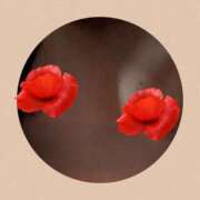 ヒメ日記 2026/01/14 03:00 投稿 かほ ご近所物語