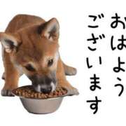 ヒメ日記 2026/01/20 07:00 投稿 かほ ご近所物語