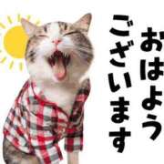 ヒメ日記 2026/01/23 07:00 投稿 かほ ご近所物語