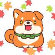 ヒメ日記 2026/02/09 08:00 投稿 かほ ご近所物語