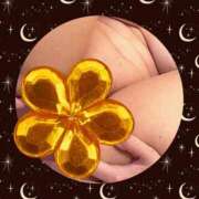 ヒメ日記 2026/02/11 02:00 投稿 かほ ご近所物語