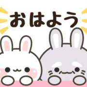 ヒメ日記 2026/02/11 07:00 投稿 かほ ご近所物語