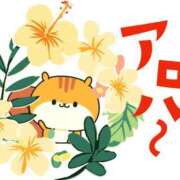 ヒメ日記 2026/02/12 11:00 投稿 かほ ご近所物語