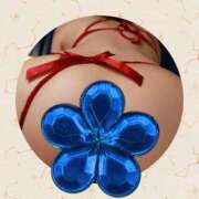 ヒメ日記 2026/02/13 00:00 投稿 かほ ご近所物語