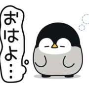 ヒメ日記 2026/02/13 07:00 投稿 かほ ご近所物語