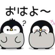 ヒメ日記 2026/02/15 07:00 投稿 かほ ご近所物語