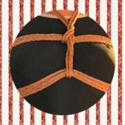 ヒメ日記 2026/02/16 10:00 投稿 かほ ご近所物語