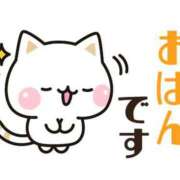 ヒメ日記 2026/02/17 17:00 投稿 かほ ご近所物語