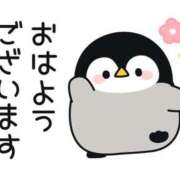 ヒメ日記 2026/02/18 07:01 投稿 かほ ご近所物語