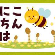 ヒメ日記 2026/02/19 11:00 投稿 かほ ご近所物語