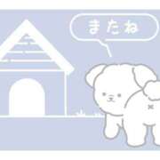 ヒメ日記 2026/02/22 05:00 投稿 かほ ご近所物語