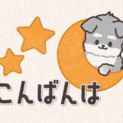 ヒメ日記 2026/02/24 17:00 投稿 かほ ご近所物語