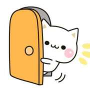 ヒメ日記 2026/02/25 11:00 投稿 かほ ご近所物語