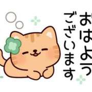 ヒメ日記 2026/02/26 07:01 投稿 かほ ご近所物語