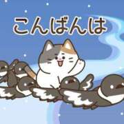 ヒメ日記 2026/03/09 17:00 投稿 かほ ご近所物語