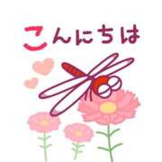 ヒメ日記 2026/03/14 11:00 投稿 かほ ご近所物語