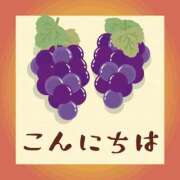 ヒメ日記 2026/03/15 11:00 投稿 かほ ご近所物語