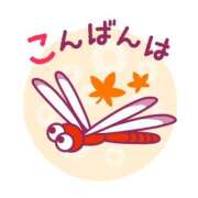 ヒメ日記 2026/03/18 17:00 投稿 かほ ご近所物語