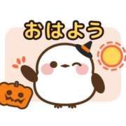 ヒメ日記 2026/03/19 07:00 投稿 かほ ご近所物語