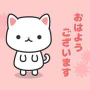 ヒメ日記 2026/03/21 07:01 投稿 かほ ご近所物語