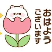 ヒメ日記 2026/04/06 07:00 投稿 かほ ご近所物語