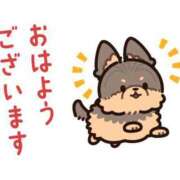 ヒメ日記 2026/04/12 07:00 投稿 かほ ご近所物語