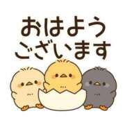 ヒメ日記 2026/04/13 07:00 投稿 かほ ご近所物語