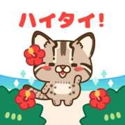 ヒメ日記 2026/04/13 17:00 投稿 かほ ご近所物語