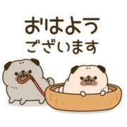 ヒメ日記 2026/04/14 07:00 投稿 かほ ご近所物語