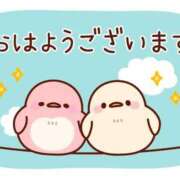 ヒメ日記 2026/04/18 07:00 投稿 かほ ご近所物語