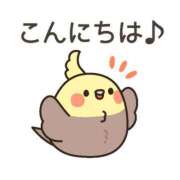 ヒメ日記 2026/04/20 11:00 投稿 かほ ご近所物語