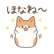 ヒメ日記 2026/04/29 05:00 投稿 かほ ご近所物語