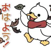 ヒメ日記 2026/05/02 07:00 投稿 かほ ご近所物語