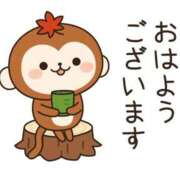 ヒメ日記 2026/05/11 07:00 投稿 かほ ご近所物語