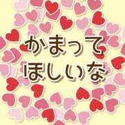 ヒメ日記 2026/05/12 12:01 投稿 かほ ご近所物語