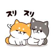 ヒメ日記 2026/05/13 12:00 投稿 かほ ご近所物語