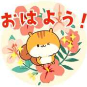 ヒメ日記 2026/05/17 07:00 投稿 かほ ご近所物語