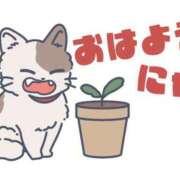 ヒメ日記 2026/05/19 07:00 投稿 かほ ご近所物語
