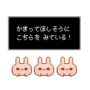 ヒメ日記 2026/05/19 08:00 投稿 かほ ご近所物語