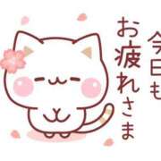 ヒメ日記 2026/05/25 17:00 投稿 かほ ご近所物語