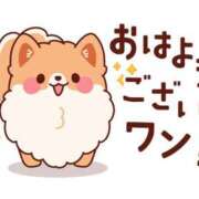 ヒメ日記 2026/05/26 07:00 投稿 かほ ご近所物語