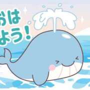 ヒメ日記 2026/05/28 07:00 投稿 かほ ご近所物語