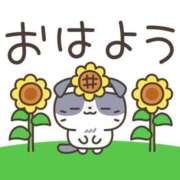 ヒメ日記 2026/06/01 07:01 投稿 かほ ご近所物語