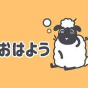 ヒメ日記 2026/06/11 07:00 投稿 かほ ご近所物語
