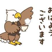ヒメ日記 2026/06/12 07:00 投稿 かほ ご近所物語