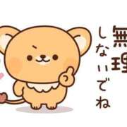 ヒメ日記 2026/06/15 10:00 投稿 かほ ご近所物語
